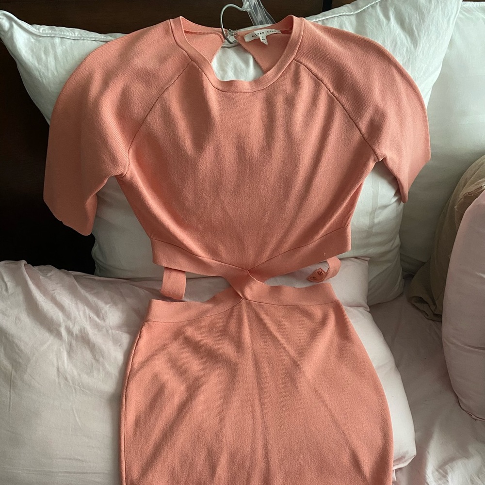 English Rose cutout mini dress